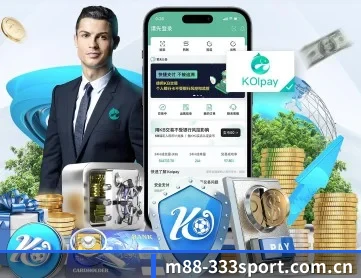 333体育app APP 深度功能